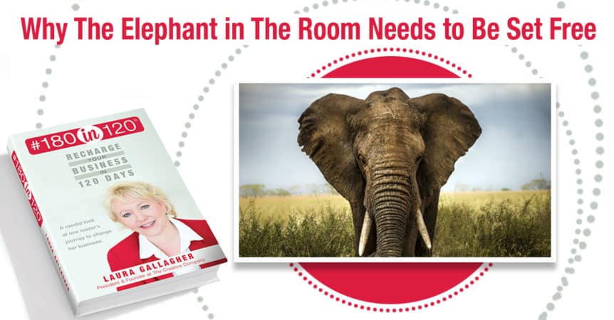 Author and entrepreneur laura gallagher from the creative company in madison wisconsin discusses elephant in room and business