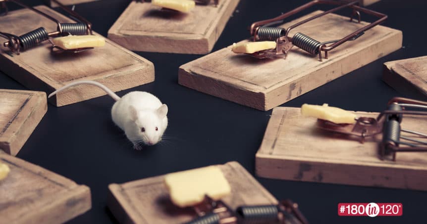 image of mouse surrounded by mouse traps