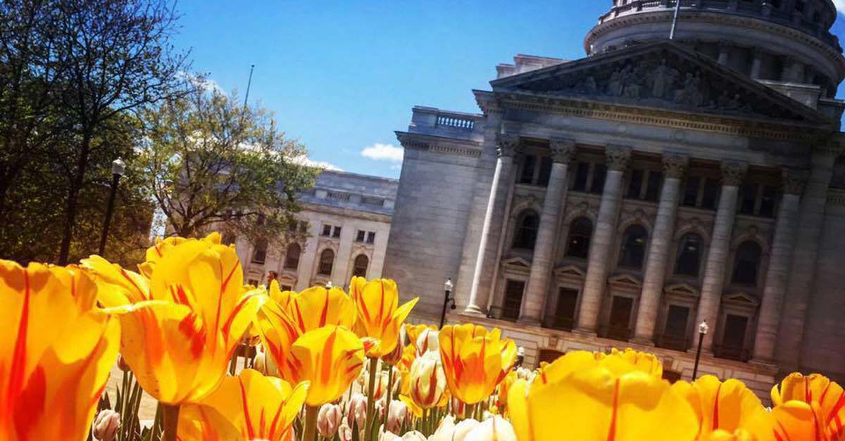 Photo of Wisconsin Capital exterior with tulips in bloom.