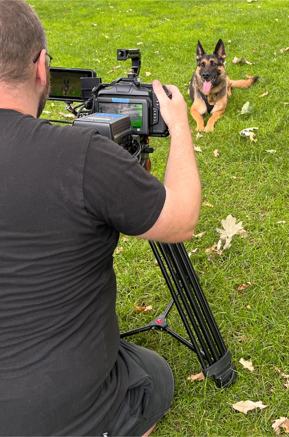 Videographer films a Madison Police Department K9 officer as part of a video recruitment campaign in Madison, WI.