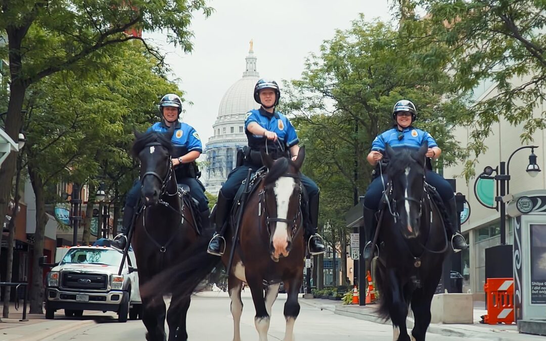 New Creative for the Madison Police Department HR Efforts